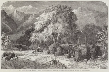 La conferenza di Mr Gordon Cumming, cavalcando il miglior elefante d